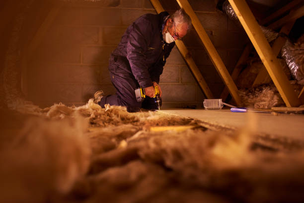 Best Basement Insulation  in Momence, IL